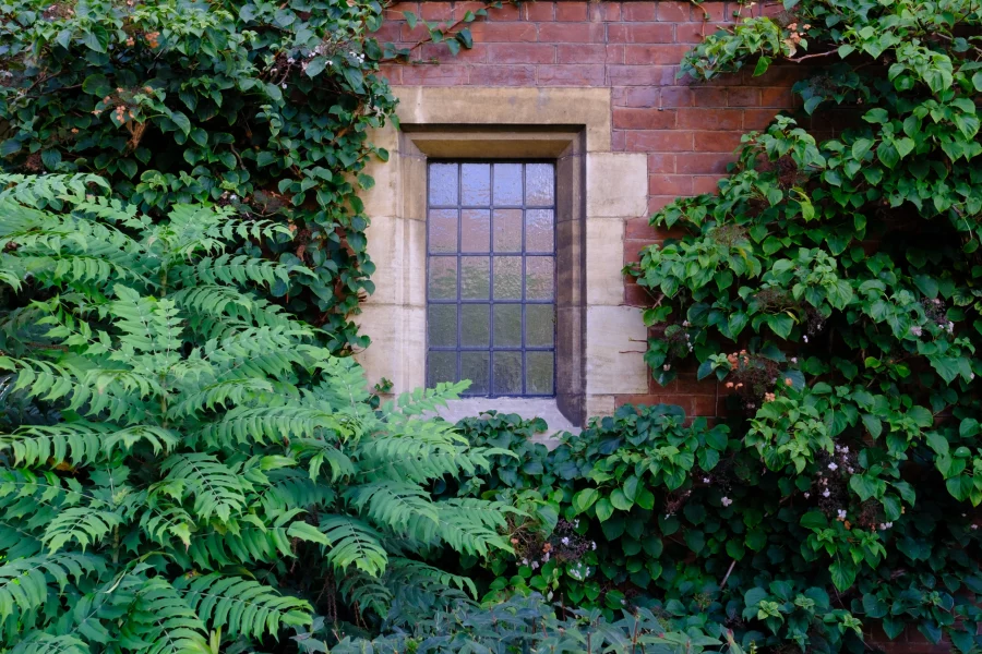 ivy-window